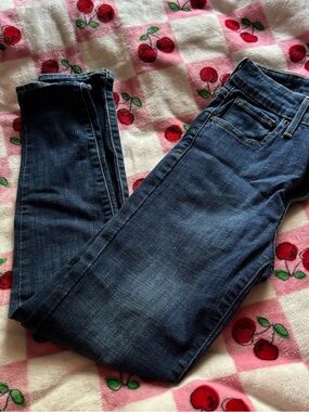 Levi's Women's Skinny Jeans in Dark Indigo